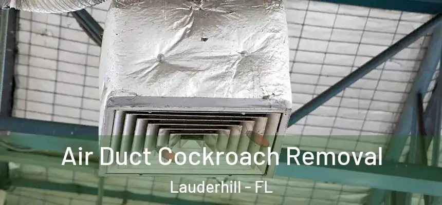Air Duct Cockroach Removal Lauderhill - FL