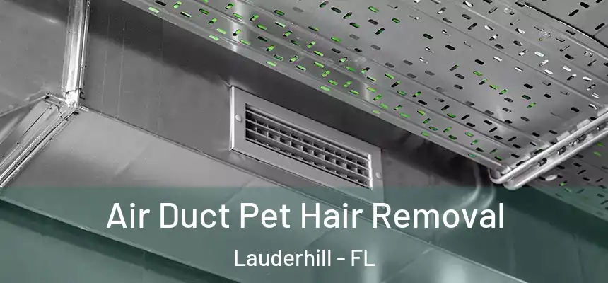 Air Duct Pet Hair Removal Lauderhill - FL