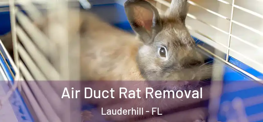  Air Duct Rat Removal Lauderhill - FL