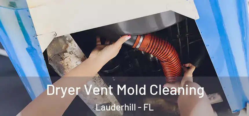 Dryer Vent Mold Cleaning Lauderhill - FL