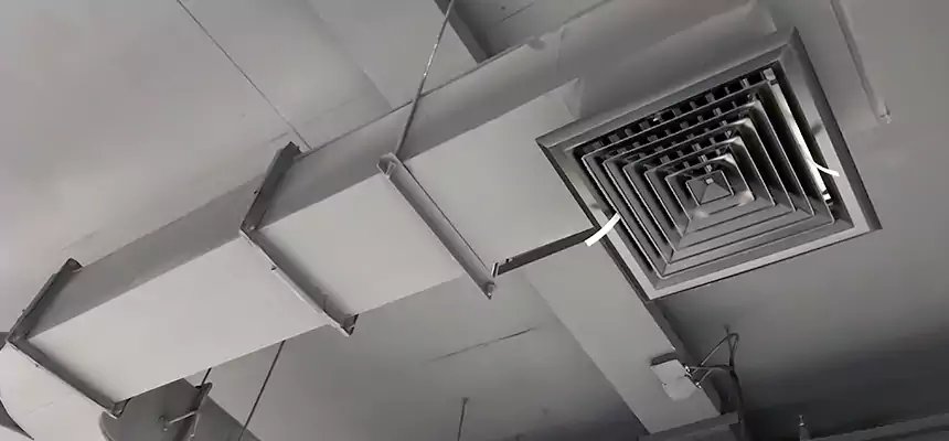 Restorative Allergy Relief Vent Cleaning – Coil, Blower & Housing Detail in Lauderhill