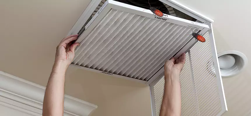 Our Insect Removal from Air Ducts Services in Lauderhill, FL
