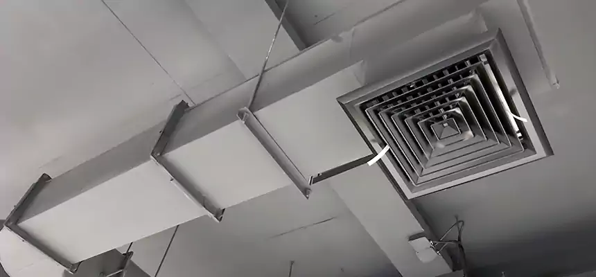 Our Pest Removal From Ducts Services in Lauderhill, FL