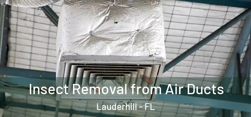 Insect Removal from Air Ducts Lauderhill - FL