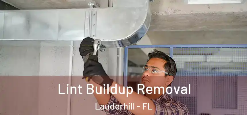 Lint Buildup Removal Lauderhill - FL