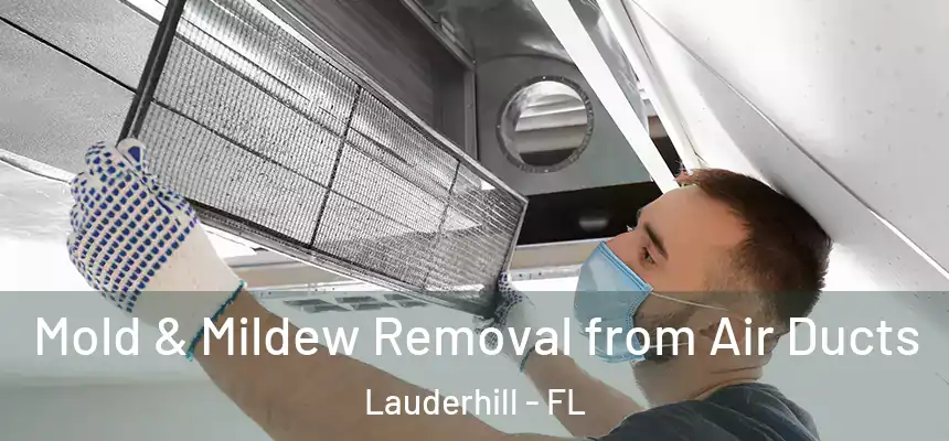 Mold & Mildew Removal from Air Ducts Lauderhill - FL