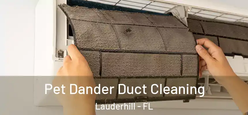Pet Dander Duct Cleaning Lauderhill - FL