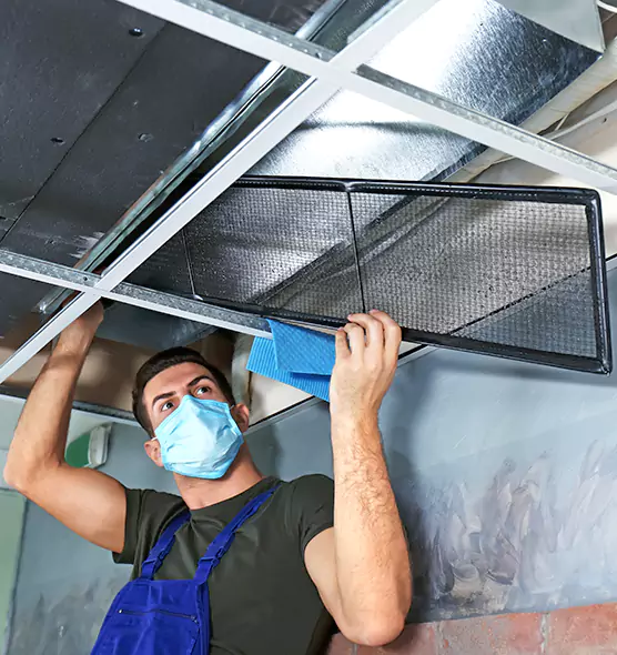 About Air Duct Bacteria Removal in Lauderhill