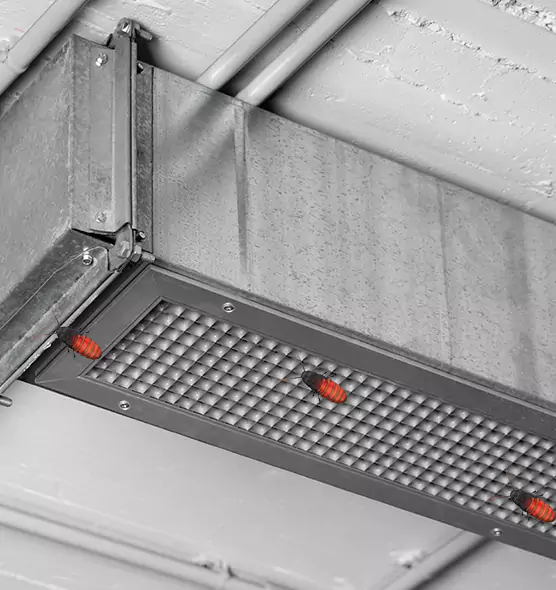 About Air Duct Cockroach Removal in Lauderhill, FL