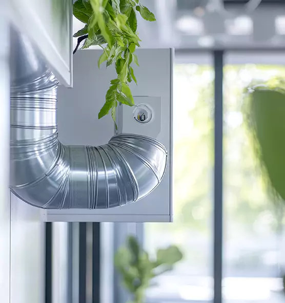 Professional Eco-Safe Dryer Vent Cleaning in Lauderhill, FL