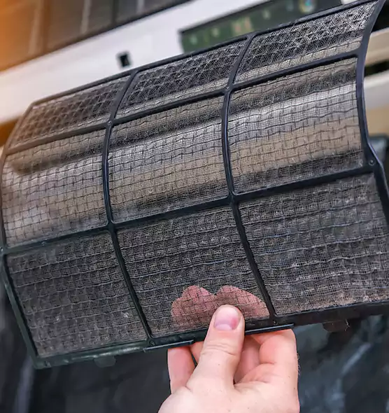 About Pet Dander Duct Cleaning in Lauderhill, FL